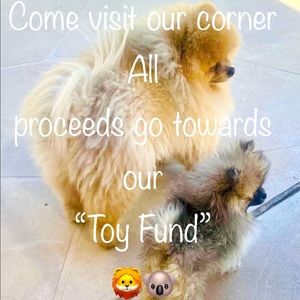 🐾Take a Peek for Your Furbaby 🐾